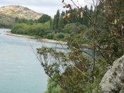 Clutha River views at Dumbarton near Roxburgh